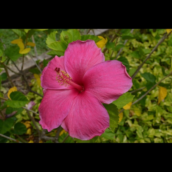 Welcome! 🌸 - Picture 4 of 7